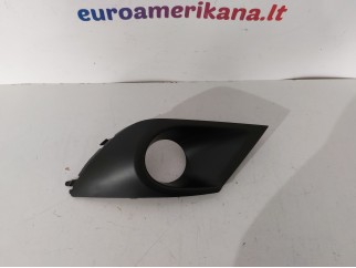 Fog Lamp Bezel, RH